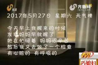 天线宝：梦想再出发,天线宝引领科技新篇章